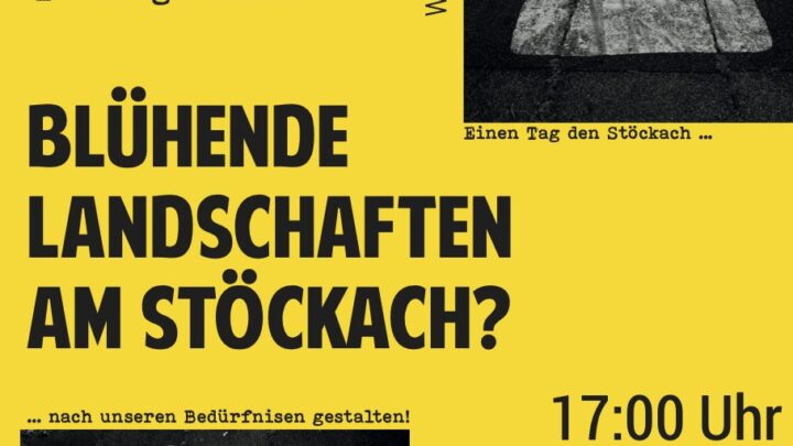 Blühende Landschaften am Stöckach?